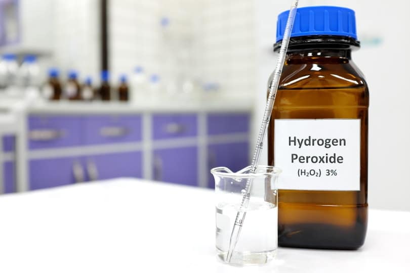 Can I Use Hydrogen Peroxide on Cats? Vet Reviewed Risks & Advice