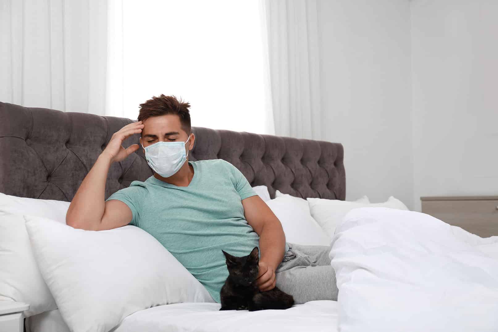 Can Cats Catch Colds From Humans? Vet Approved Facts & Advice