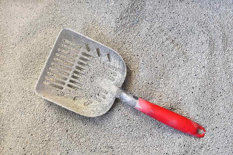10 Best Cat Litter Scoops of 2026 - Reviews & Top Picks