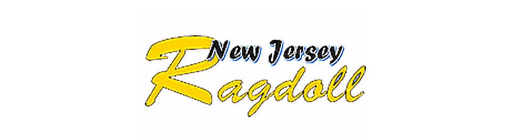 new jersey ragdoll cattery