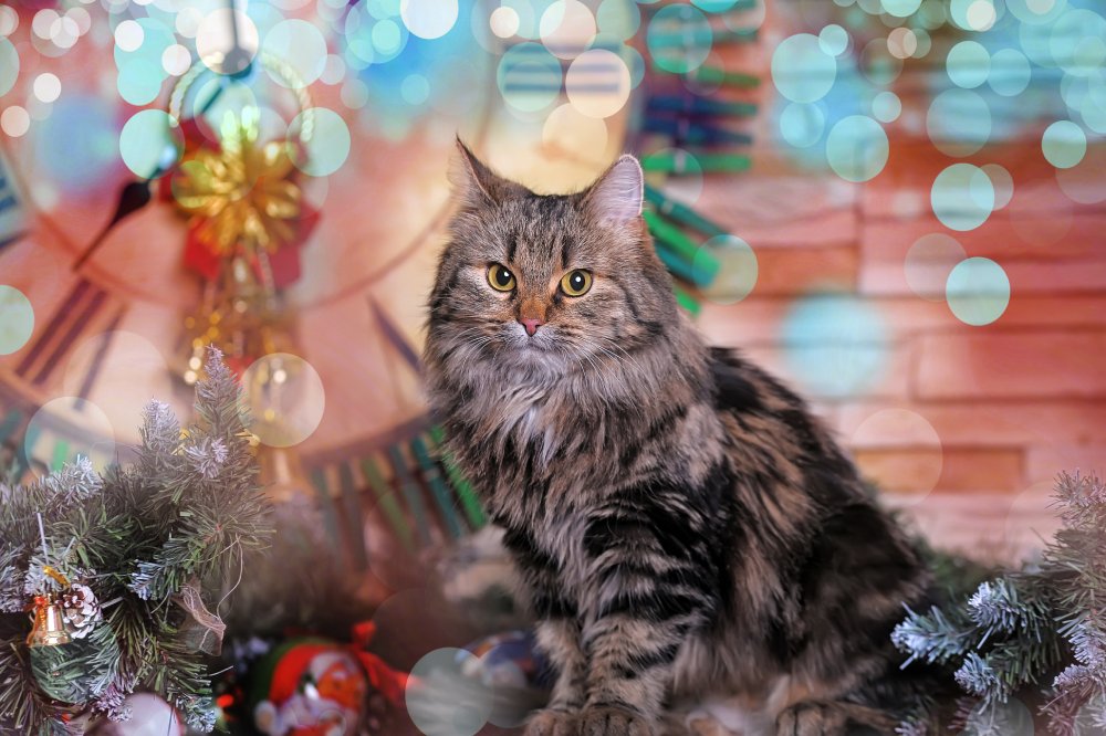How to Cat-Proof Your Christmas Tree: 12 Vet-Verified Solutions