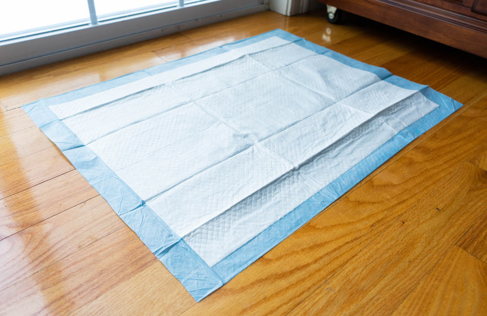 pee pad on the wooden floor