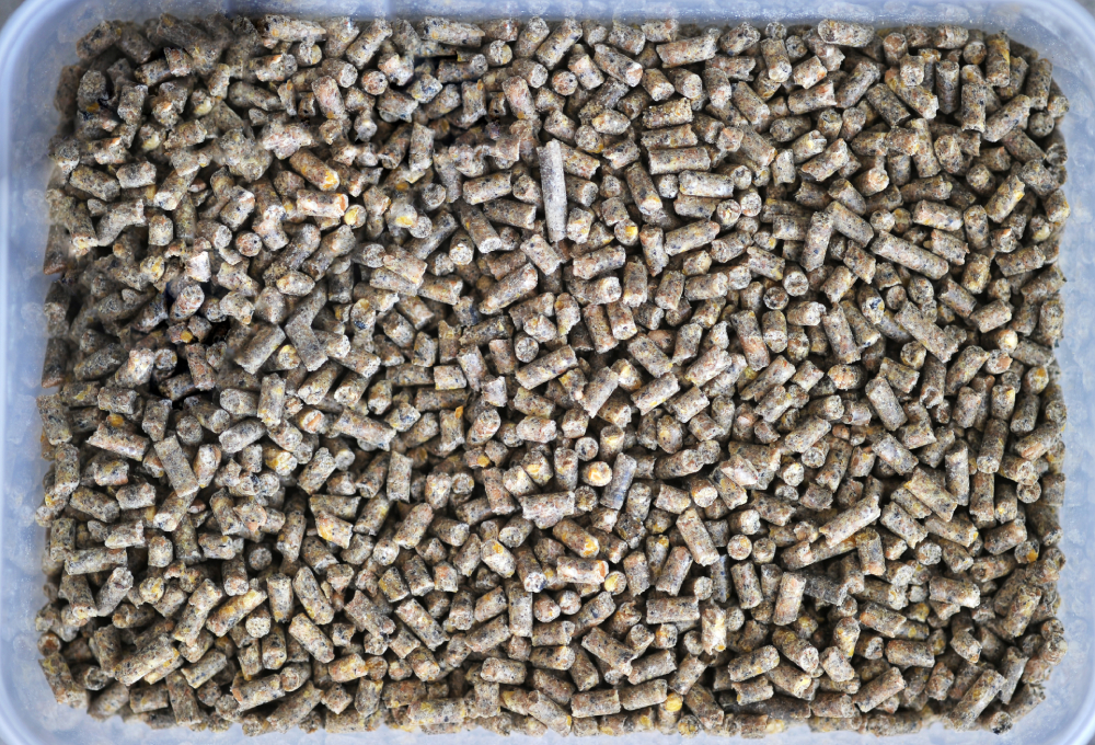 pellet feed soybean and sunflower or Alfa alfa pellets close up