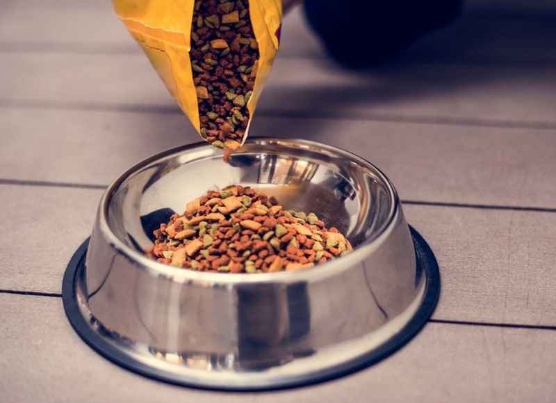 How to Store Dry Cat Food Long Term: 8 Vet-Approved Tips