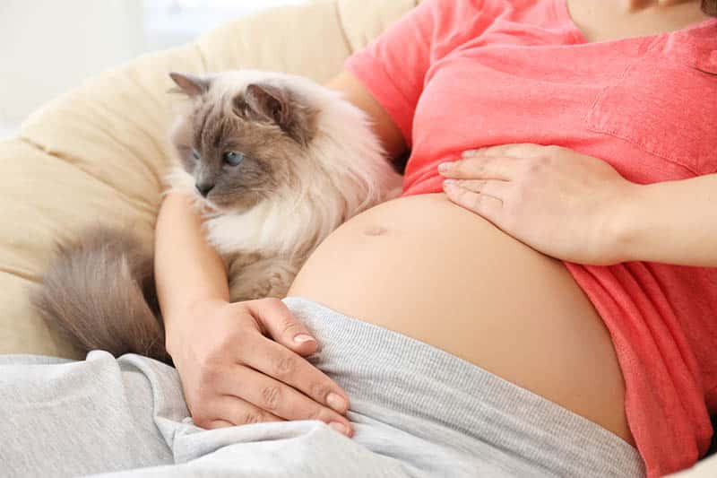 How to Prepare Your Cat for a New Baby: 7 Vet-Approved Tips