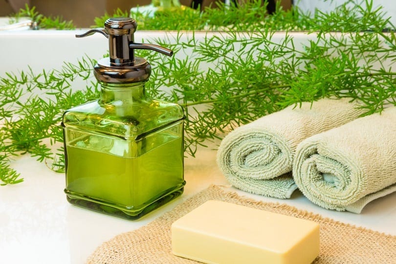 Does Irish Spring Soap Keep Cats Away? Vet-Reviewed Facts & FAQ