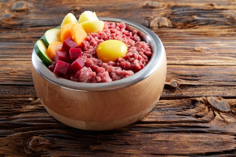 Raw Food Diet for Cats: Vet-Approved Pros & Cons