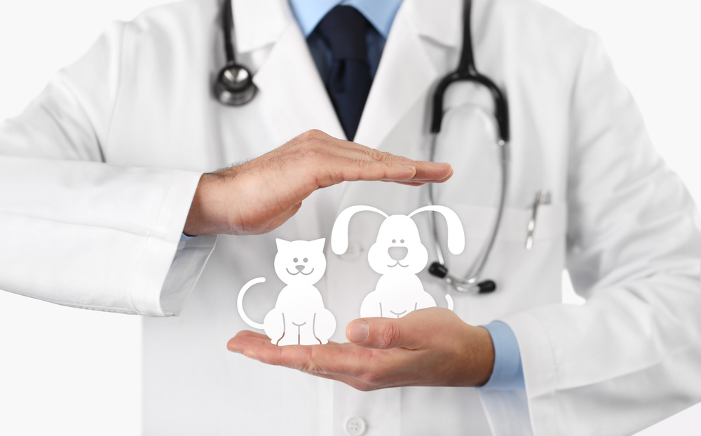 What Is the Cost of Pet Insurance in 2026? Complete Price Guide