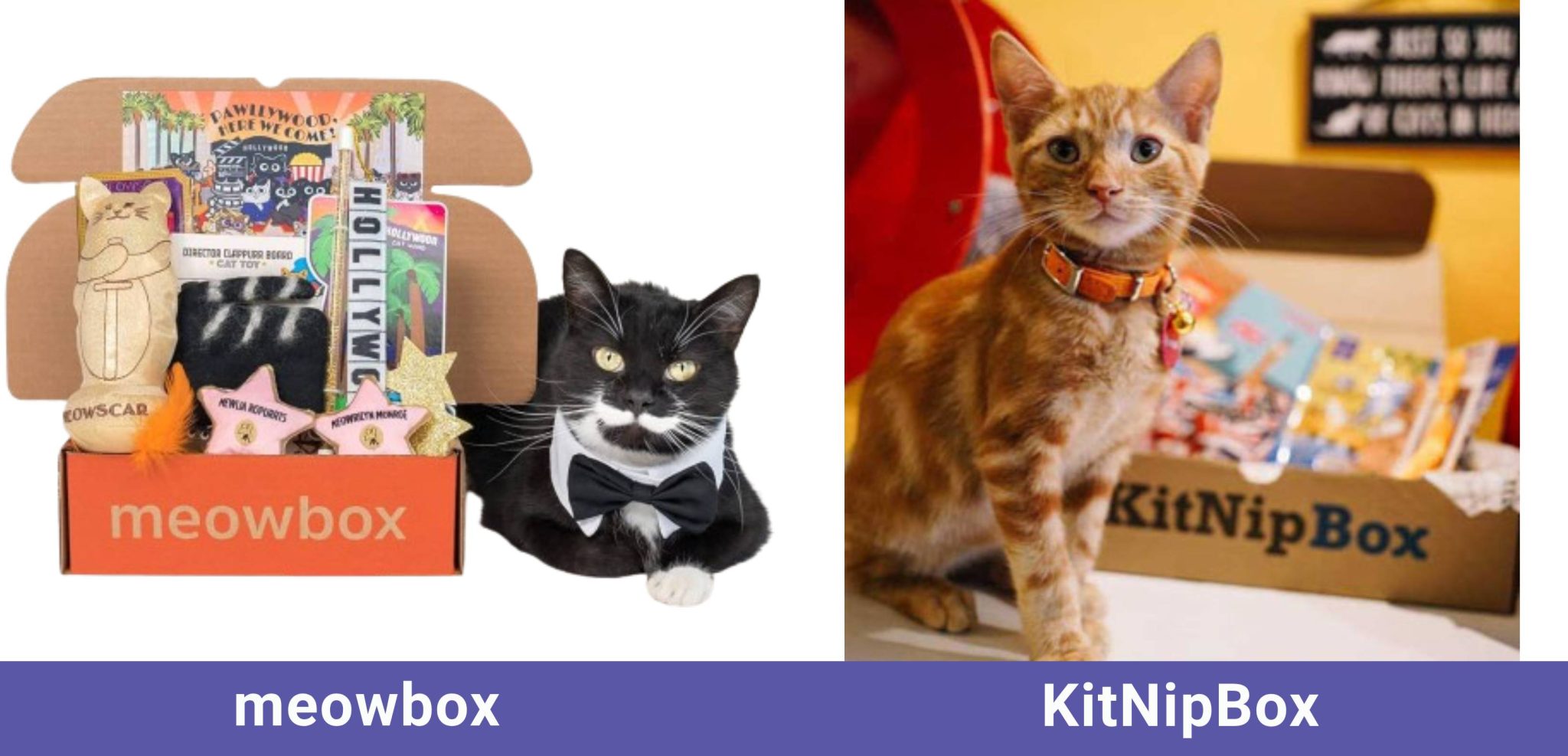 side by side meowbox VS KitNipBox