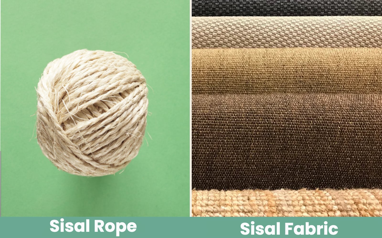 Sisal Rope vs. Sisal Fabric for Cat Scratching Posts: Vet-Reviewed Differences, Benefits & FAQ