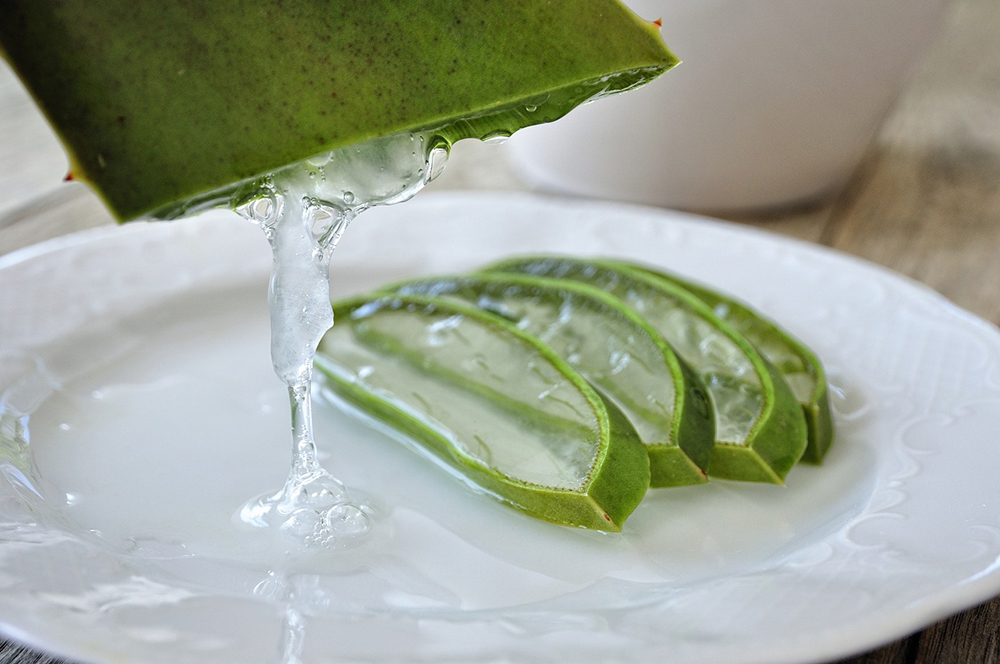 slice aloe vera close up
