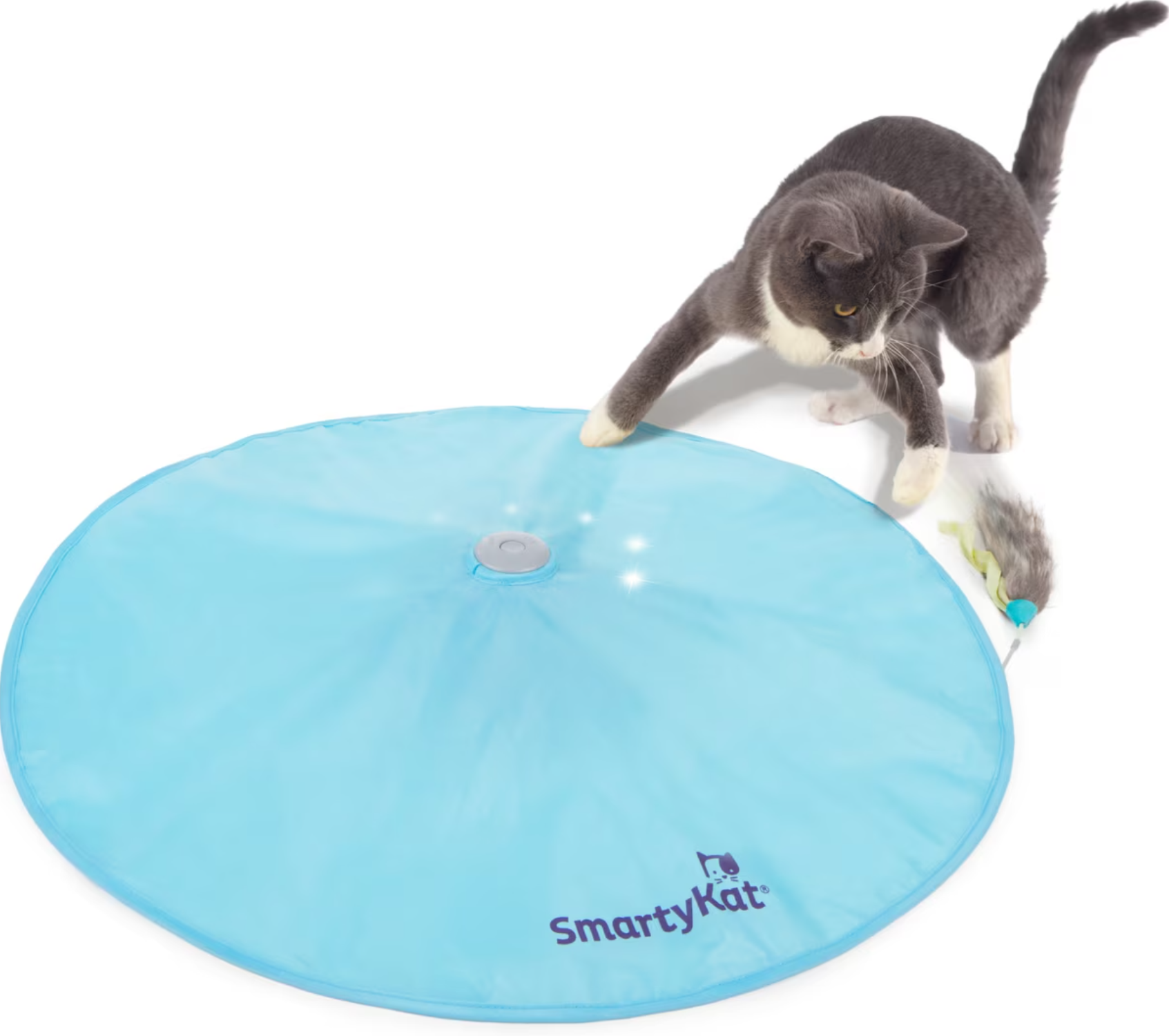 smartykat hot pursuit chewy