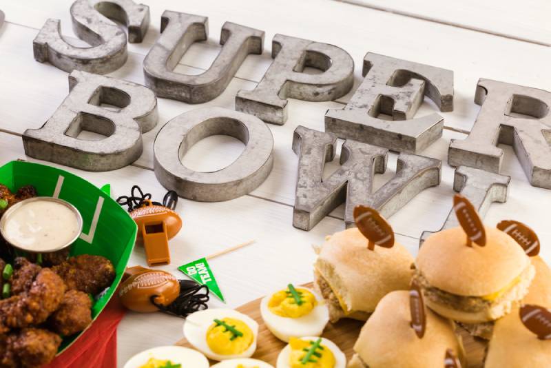 8 Vet-Reviewed Super Bowl Party Safety Tips for Your Cat You Need to Follow