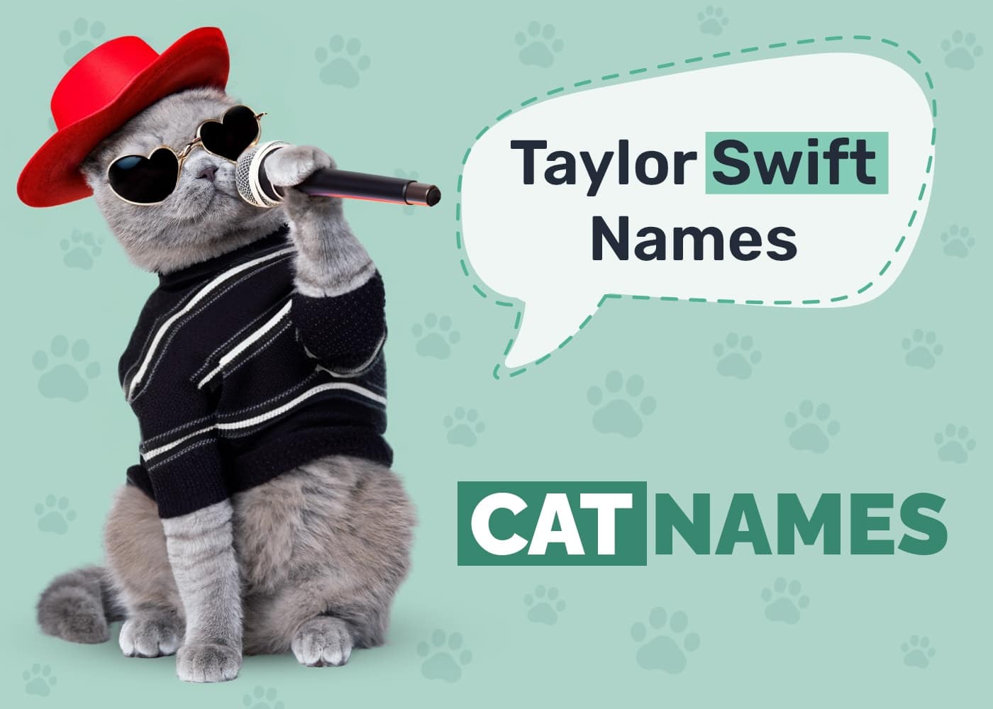 107 Taylor Swift-Inspired Cat Names for Your Musical Kitten