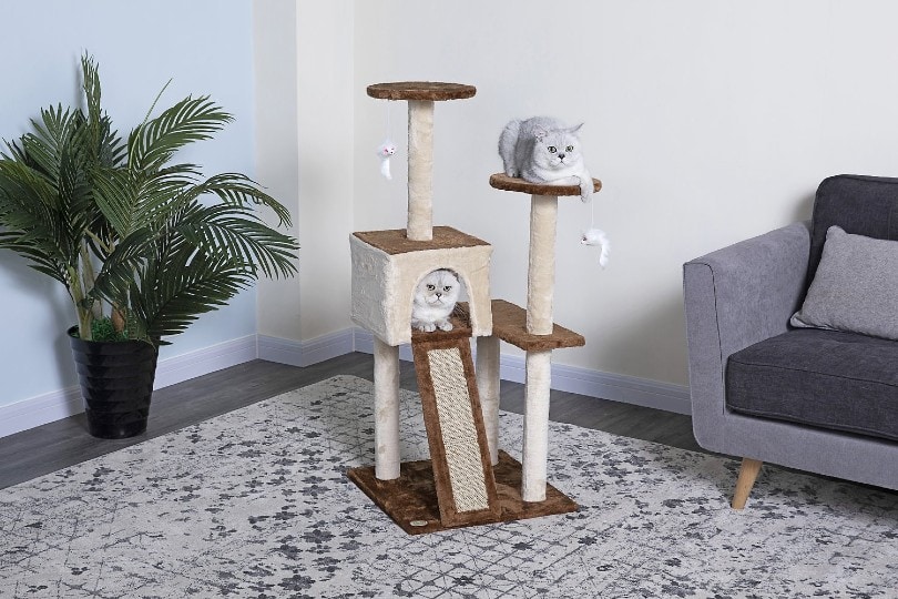 10 Best Cat Trees Under $50 in 2026 - Reviews & Top Picks