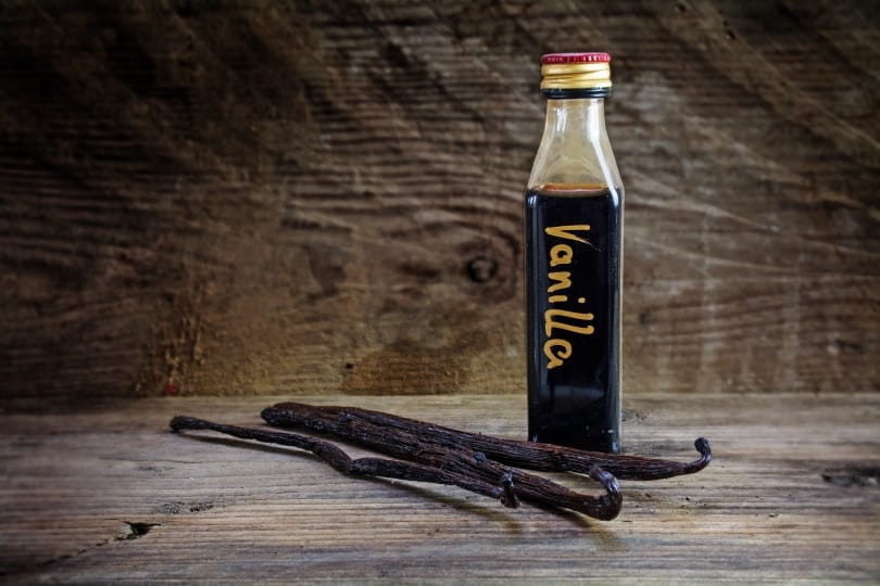 Do Cats Like the Scent of Vanilla? What You Should Know