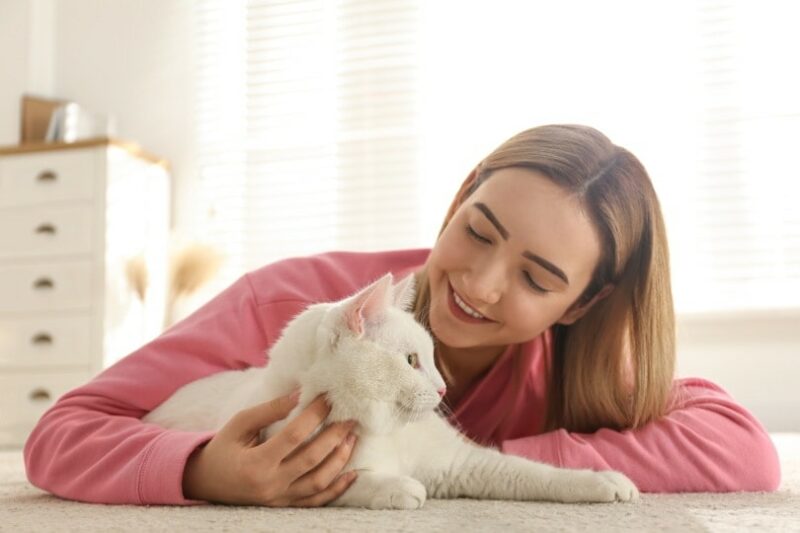 How to Be a Good Cat Owner: 10 Vet-Reviewed Tips