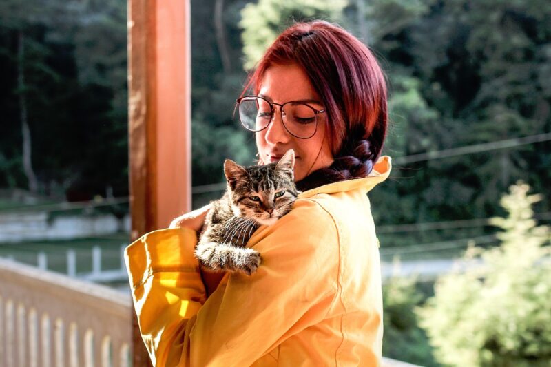 International Cat Rescue Day 2026: How & When Is It Celebrated?