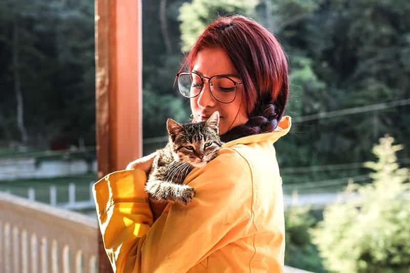Vet-Reviewed Tips for Being a Good Cat Foster Parent