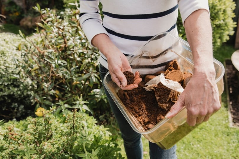 Do Coffee Grounds Keep Cats Away? Vet-Reviewed Facts & FAQ