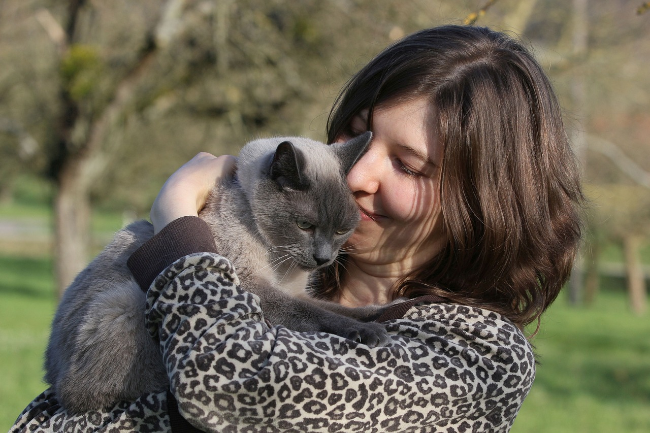 National Hug Your Cat Day 2026: How & When It Is Celebrated