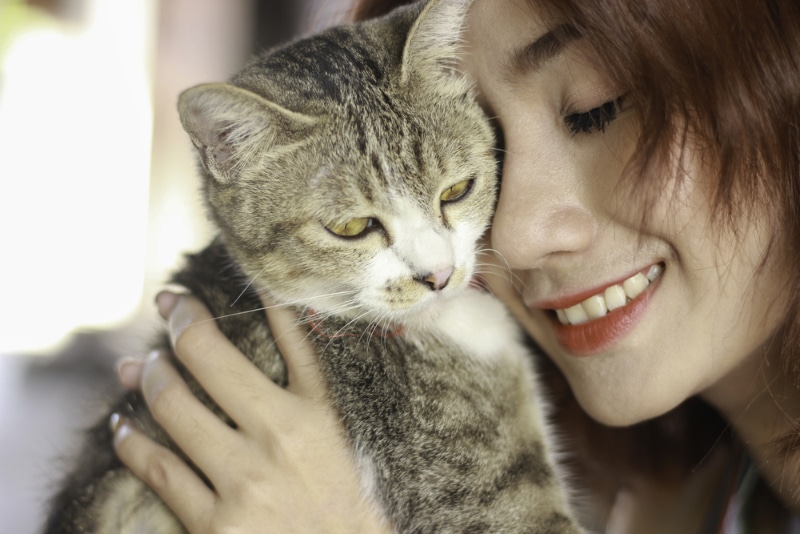 Can Cats Sense Bad Energy? Vet-Approved Science & FAQ
