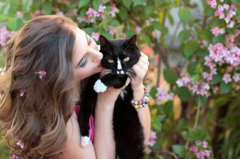 National Cat Lady Day 2026: Is It a Real Holiday?