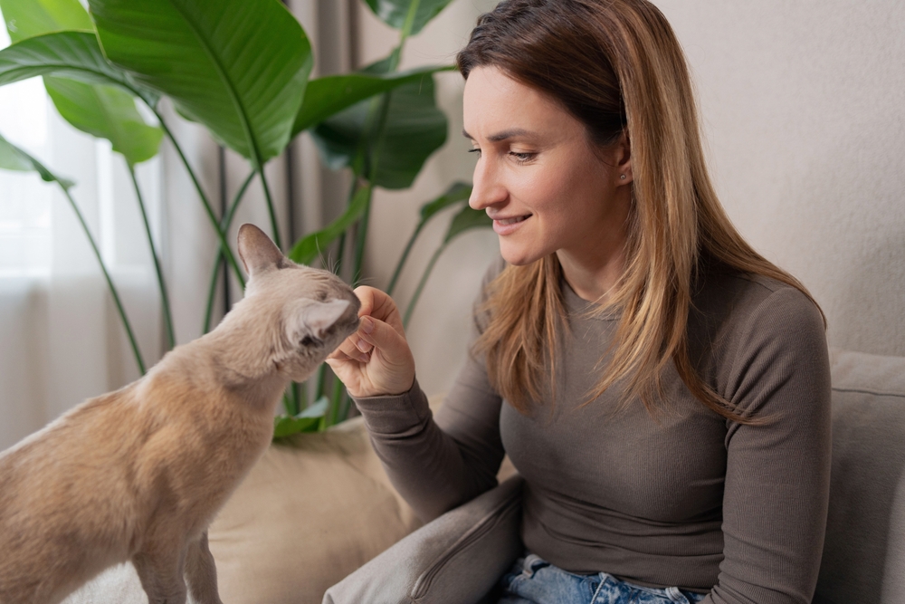 National Treat Your Pet Day 2026: History & Celebration Tips