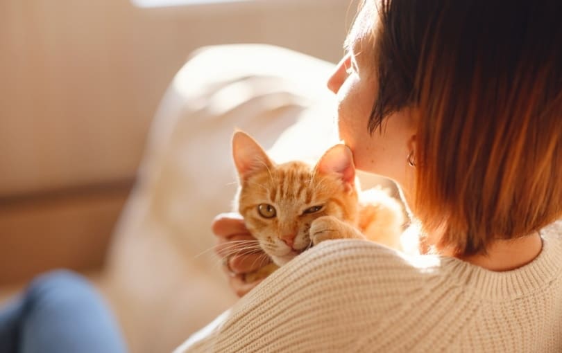 Cat Supplies Prime Day Deals: Our Favorites in 2026