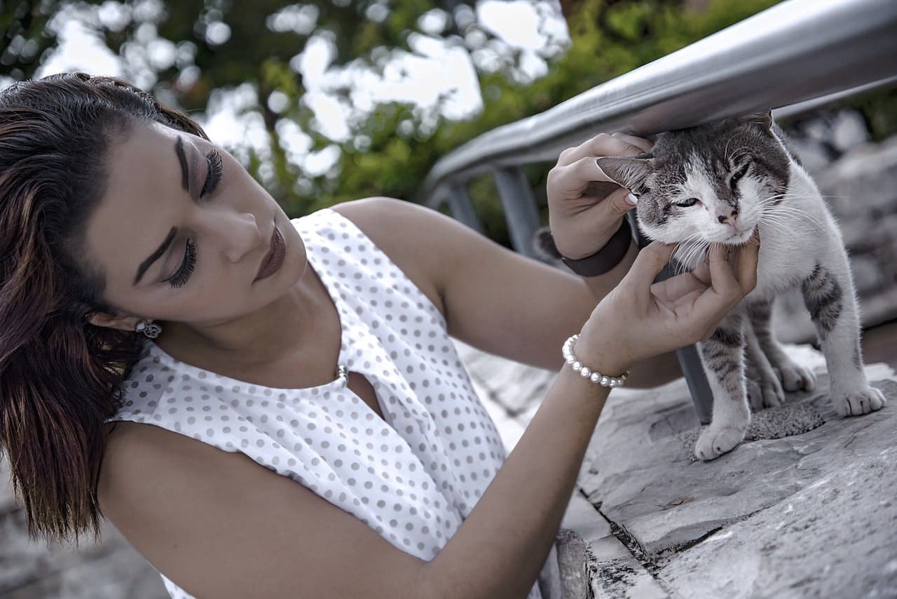 Why Do Cats Like Chin Scratches? 9 Vet-Reviewed Reasons