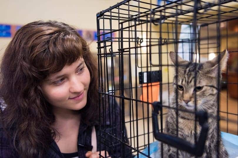 Adopt A Less Adoptable Pet Week: When Is It & How To Celebrate