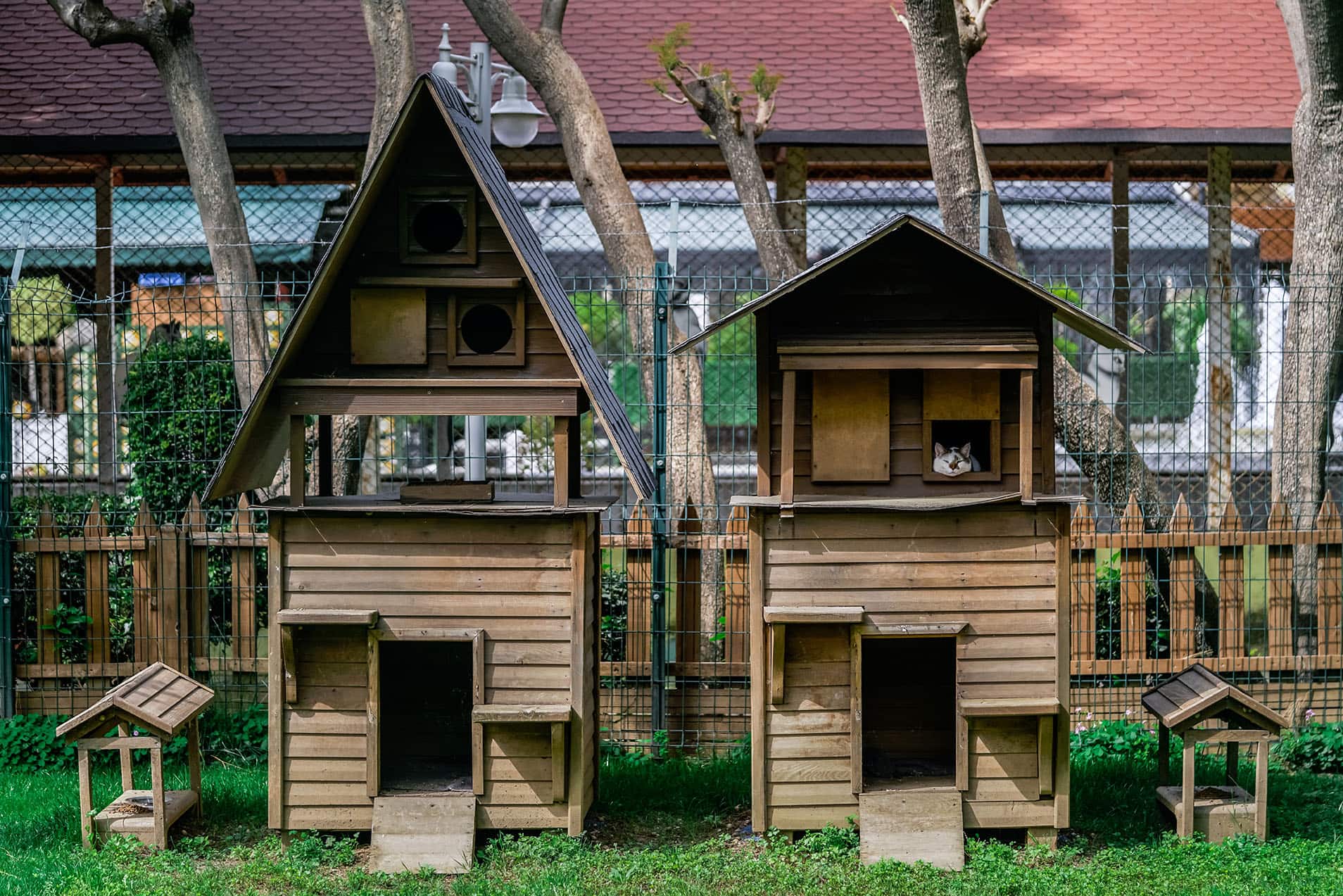 9 Best Cat Houses in 2026 - Reviews & Top Picks