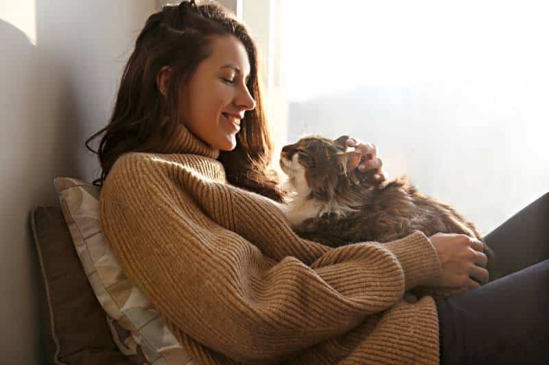 Cat Life Stages Explained (Plus 12 Vet-Approved Tips To Improve Their Wellbeing)