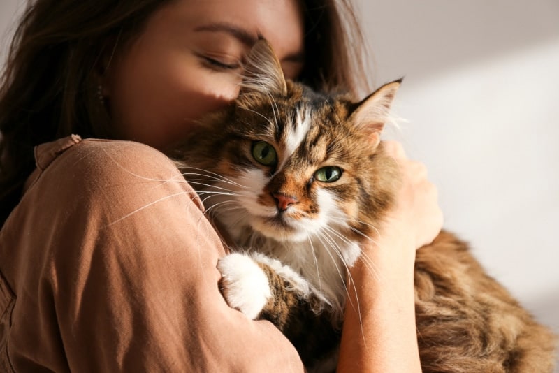 Pet Theft Awareness Day 2026: How to Participate With Your Cat