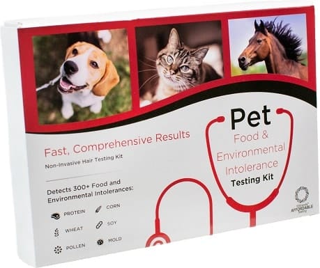5Strands Pet Food &amp; Environmental Intolerance