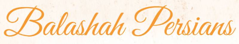 Balashah Persians