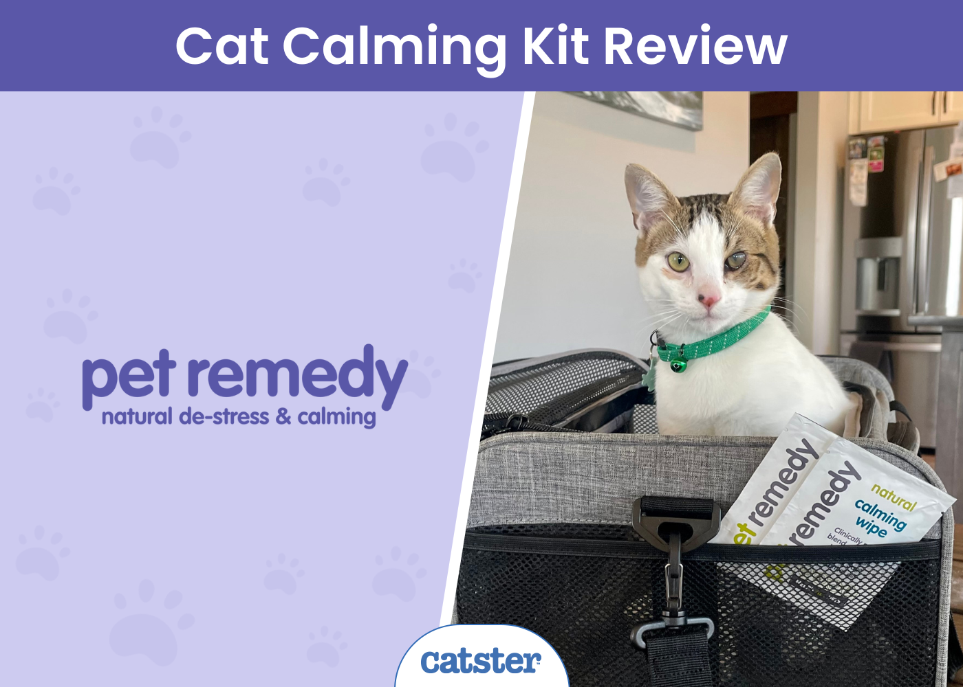Pet Remedy Kitten Calming Kit Review 2026: Pros, Cons, & Our Verdict