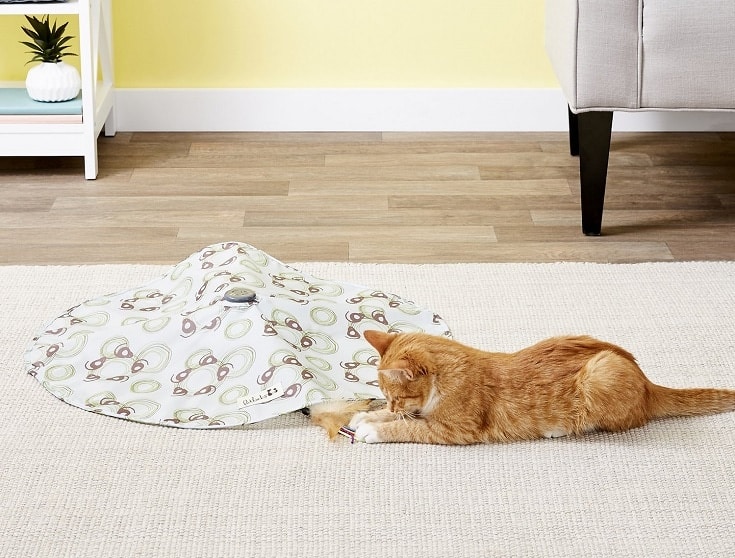 10 Best Electronic Cat Toys in 2026 - Reviews & Top Picks