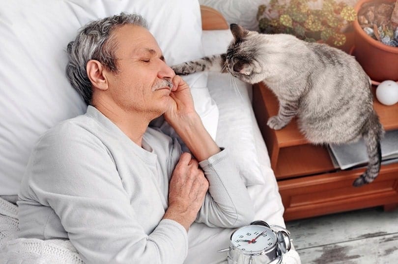 Cats May Protect Their Humans from Memory Loss in Later Life! (Vet-Verified Science)