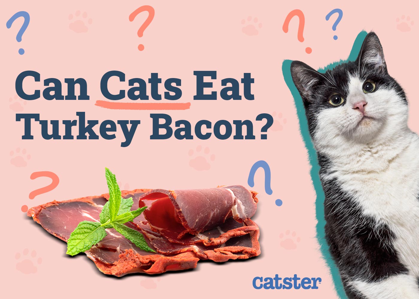 Can Cats Eat Turkey Bacon? Vet-Approved Risks & FAQ