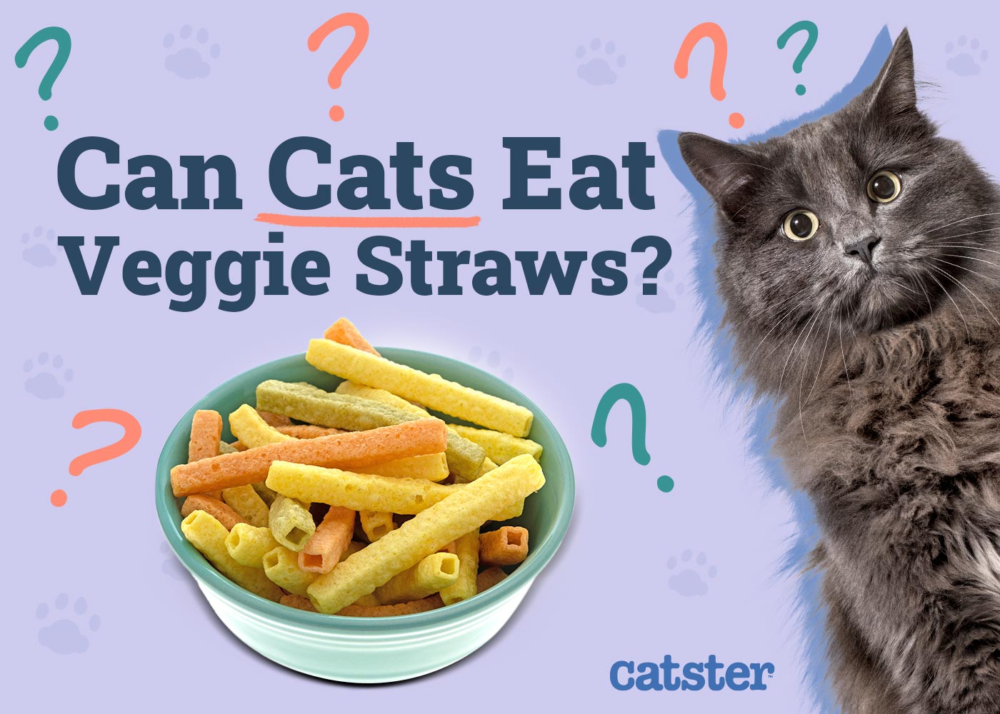 Can Cats Eat Veggie Straws? Vet-Verified Facts & FAQ