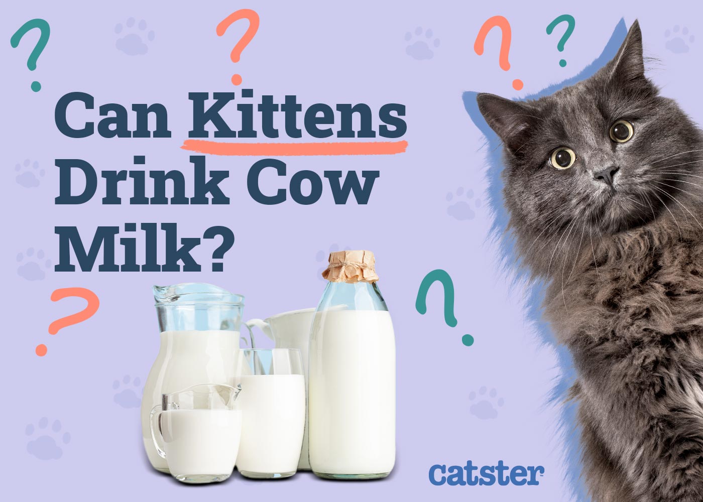 Can Kittens Drink Milk? Vet-Verified Nutrition Facts & FAQ
