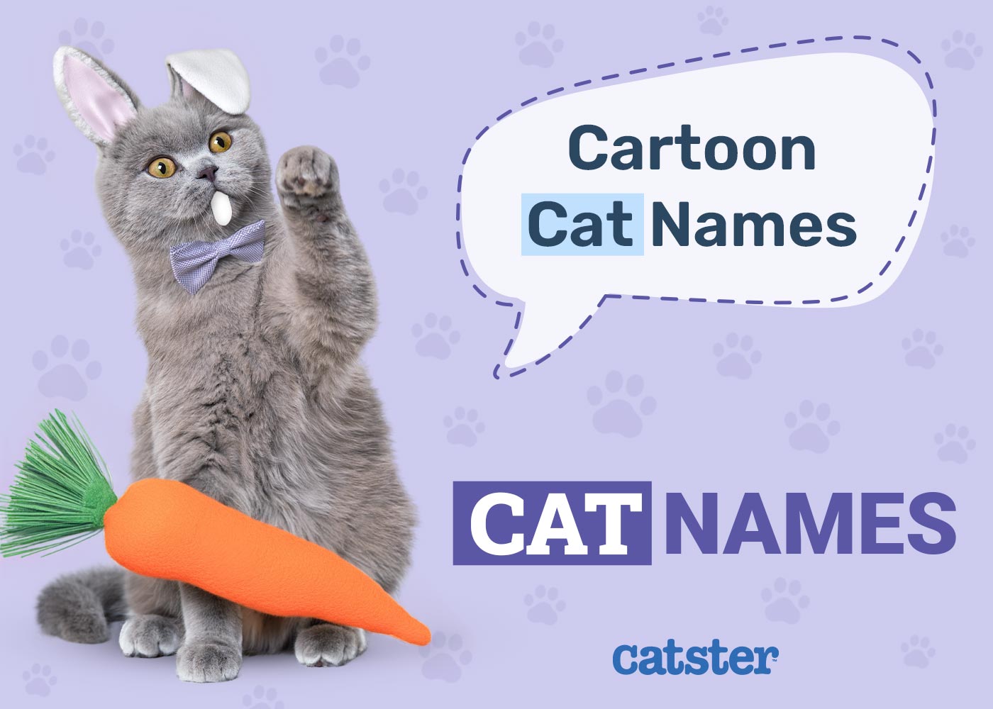 250 Cartoon Cat Names: Ideas for Charismatic & Comical Kitties