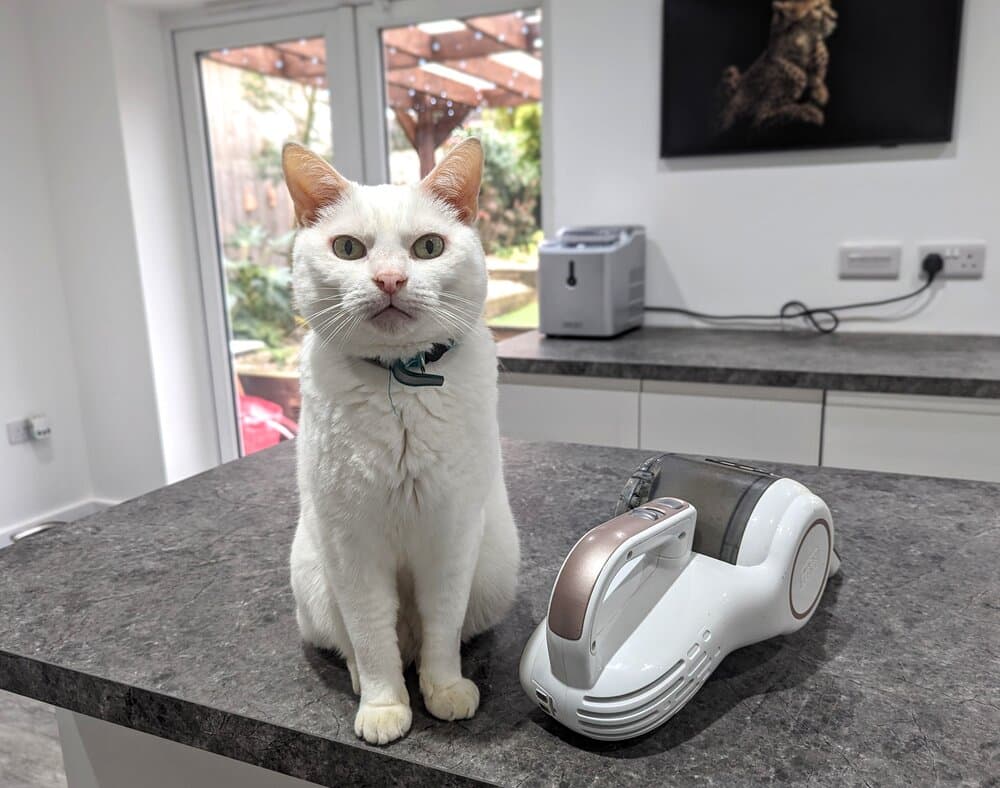 Clutch and the Vacuum: A Love Story (With Video)