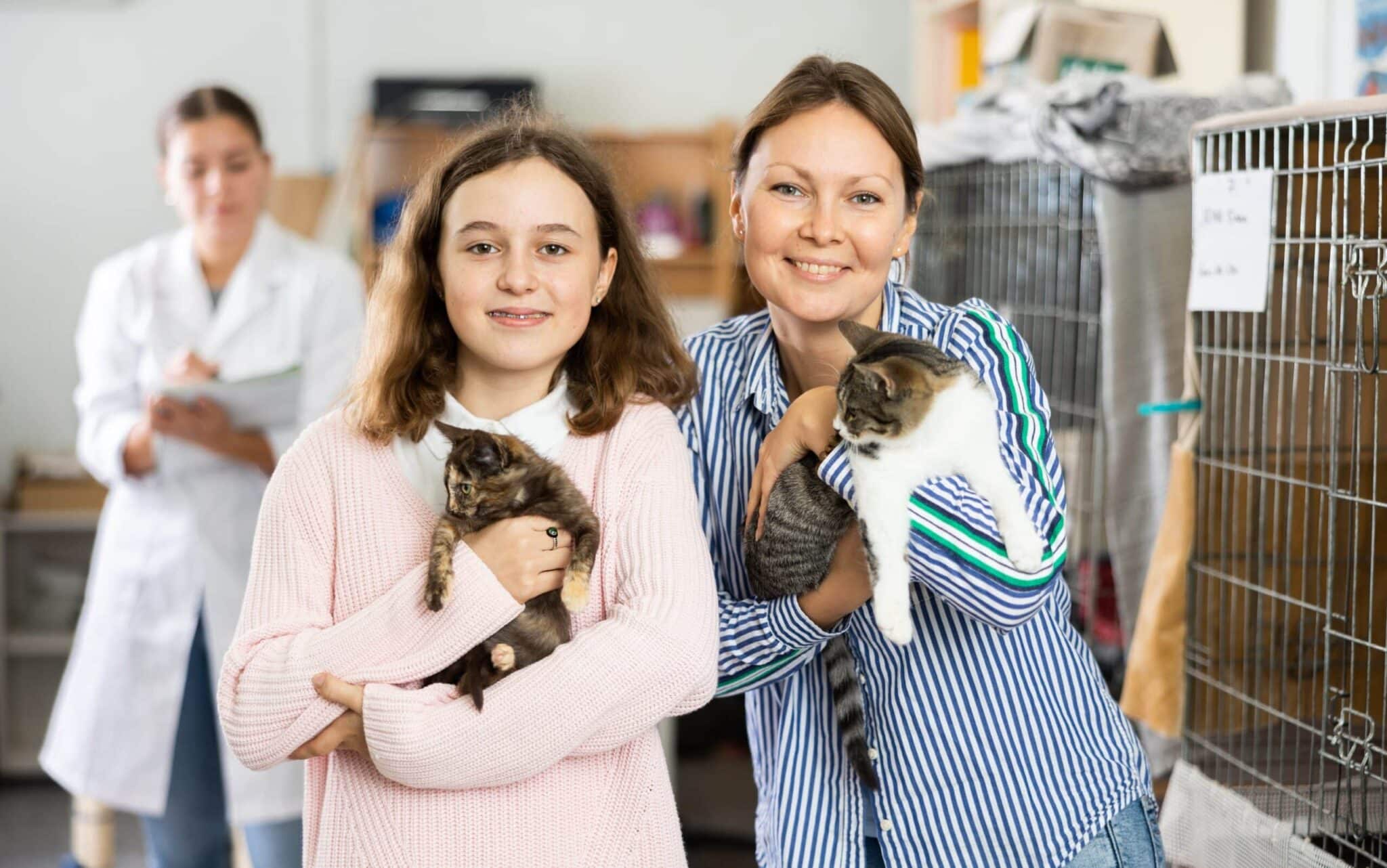 How to Find the Perfect Cat for Your Family: 8 Vet-Approved Tips & What to Look For