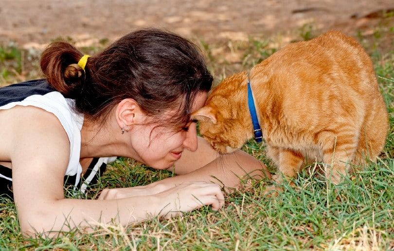 My Cat Is Pressing Their Head Against Me, Should I Worry? Vet-Approved Facts, Causes & Care Tips