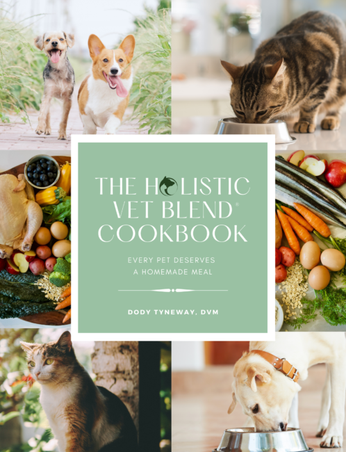 The Holistic Vet Blend Cookbook (2026 Review): Pros, Cons & Verdict