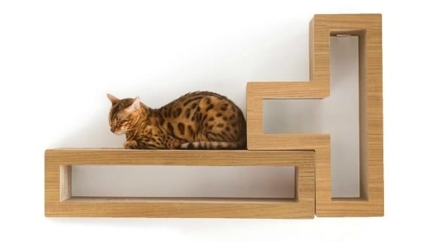 KATRIS Modular Cat Shelves Review (2026): Pros, Cons & Features