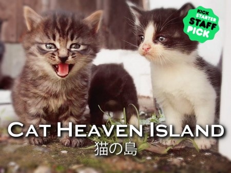 Cat Heaven Island Documentary Review: A Close Up Look at Tashirojima & Its People