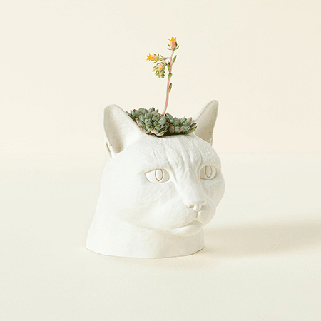 Pensive Pet Cat Planter